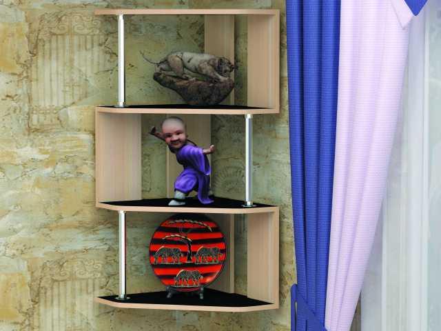 ����� ������� �������� �-11