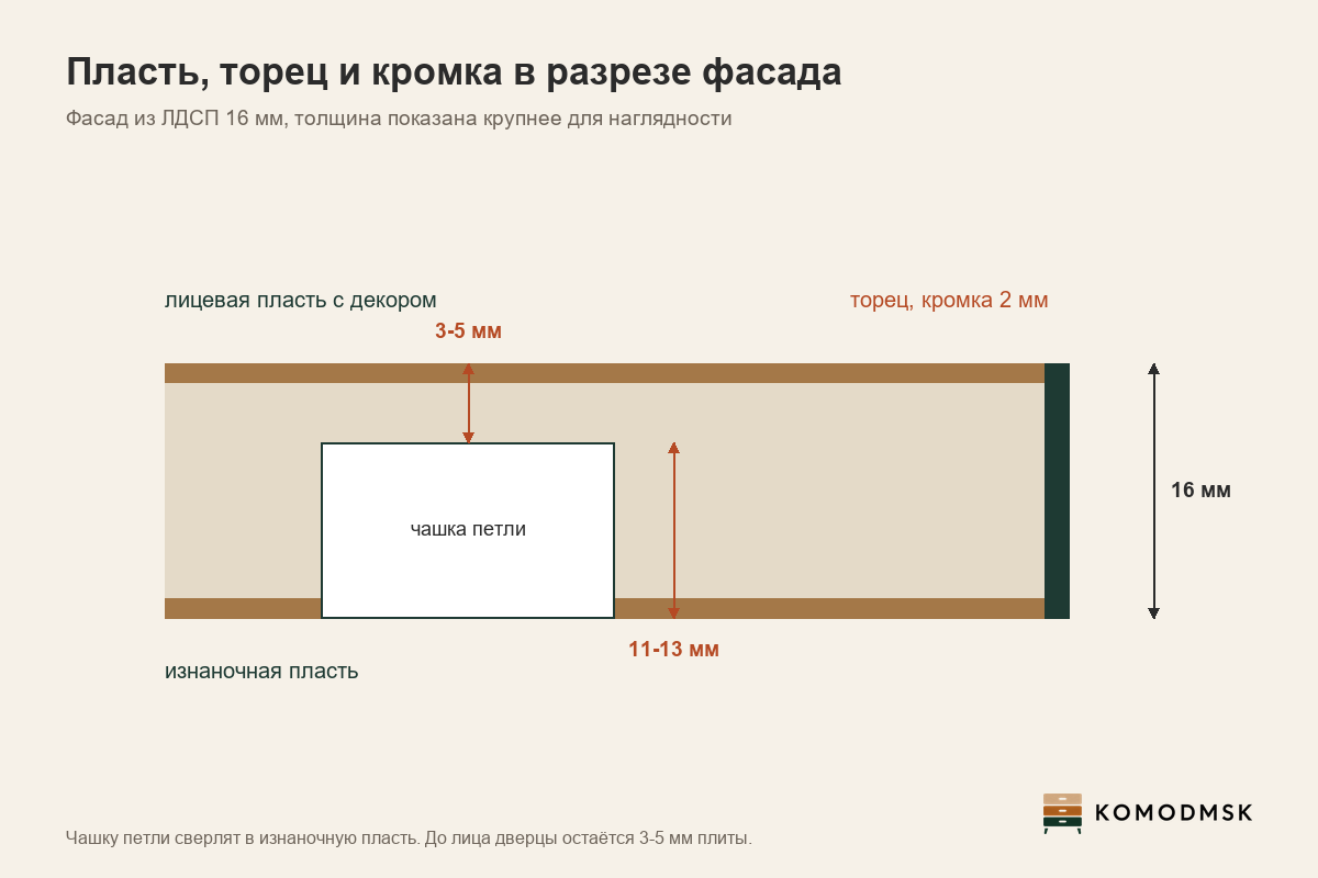 Инфографика: деталь из ЛДСП в разрезе - две пласти с декором, торец 16 мм с кромкой 2 мм, чашка петли глубиной 11-13 мм в пласти фасада, до лицевой стороны остаётся 3-5 мм